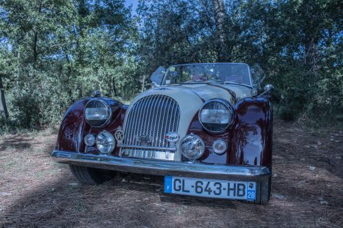 371115524_3216654998468679_2610797584969334429_n